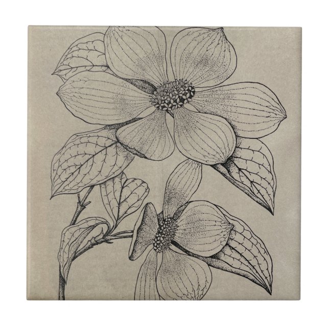 Dogwood Ceramic Tile Kakelplatta (Framsidan)