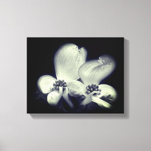 Dogwood Flower Blommars Black and White Canvastryck