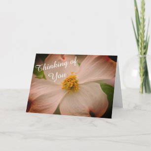 Dogwood Flower Kort