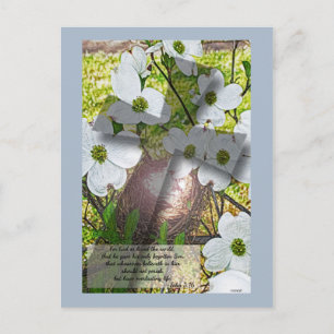 Dogwood Flower och Kor w/John 3:16 vykort