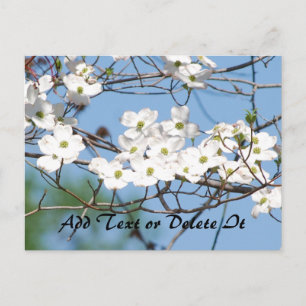 Dogwood Flower vycard Vykort