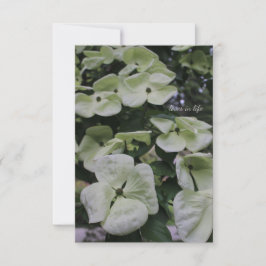 Dogwood Flowers Anteckningskort