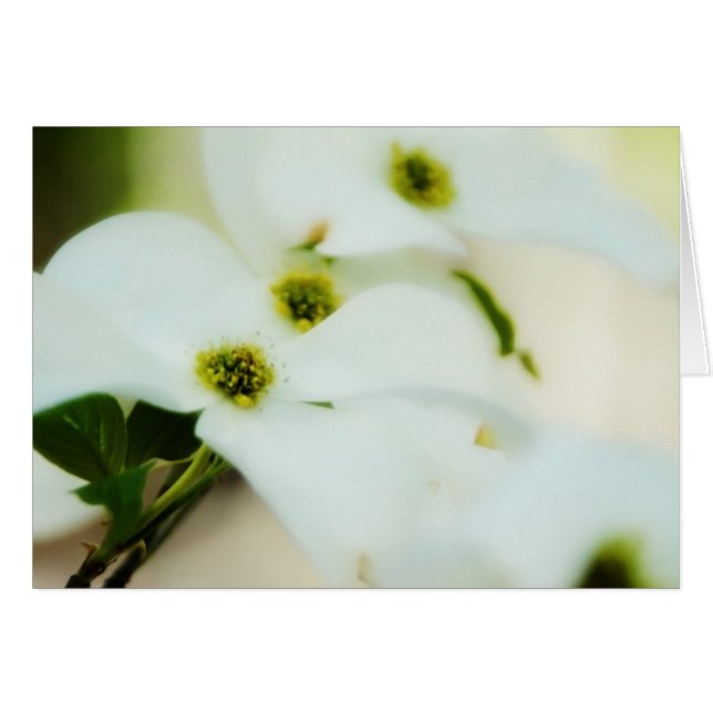 Dogwood Flowers Card Hälsningskort (Framsidan Horizontal)
