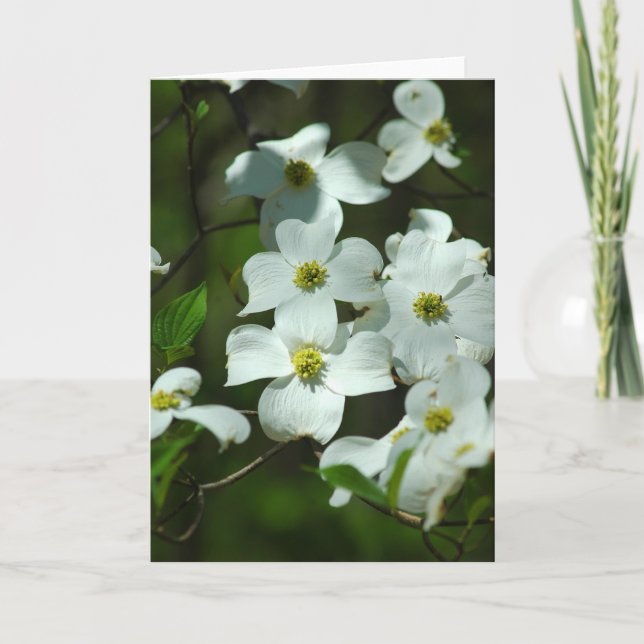 Dogwood Flowers Greeting Card Kort (Framsida)
