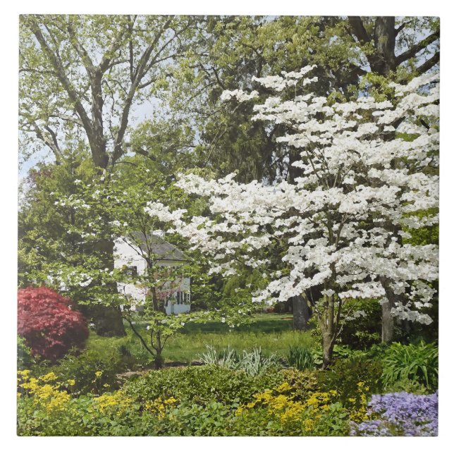 Dogwood i Bloom Kakelplatta (Framsidan)