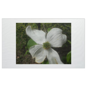 Dogwood i vår tyg