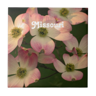 Dogwood Kakelplatta