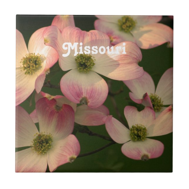 Dogwood Kakelplatta (Framsidan)