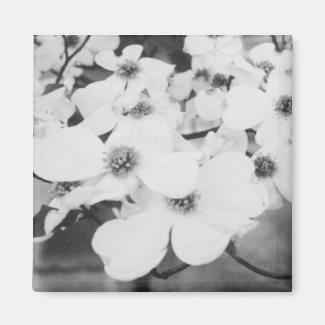 Dogwood Magnet (Framsidan)