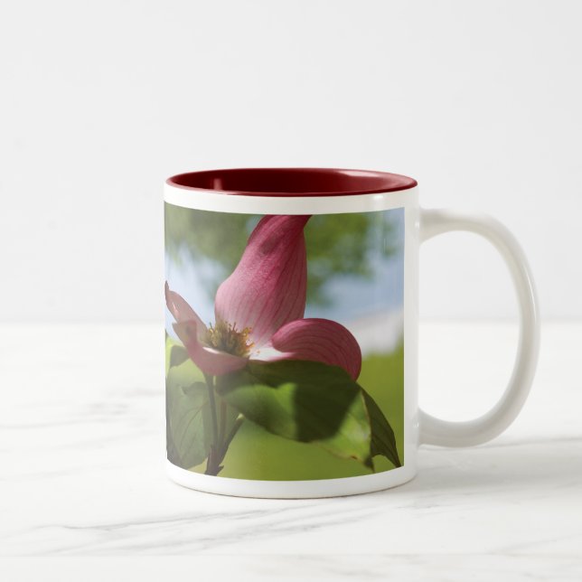 dogwood mugg (Höger)