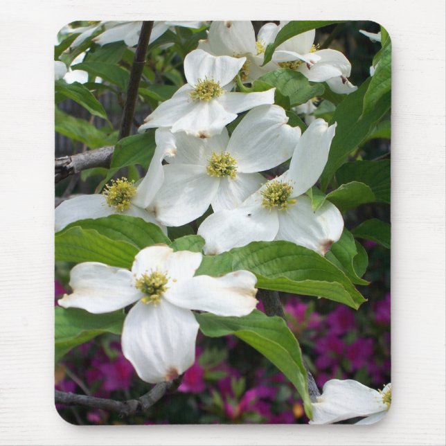 dogwood musmatta (Framsidan)