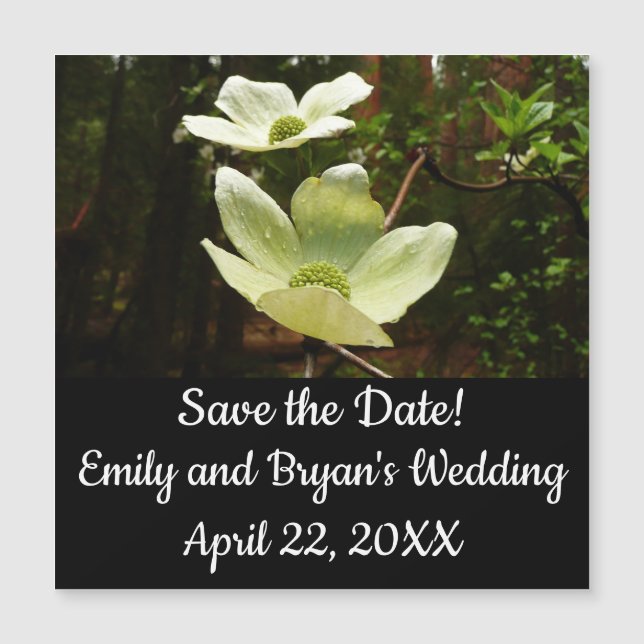 Dogwood och Redwood i Yosemite National Park (Framsida)