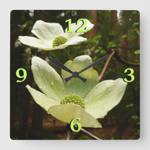 Dogwood och Redwood i Yosemite National Park Fyrkantig Klocka