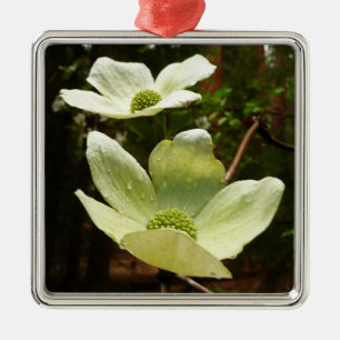 Dogwood och Redwood i Yosemite National Park Julgransprydnad Metall
