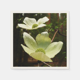 Dogwood och Redwood i Yosemite National Park Pappersservett