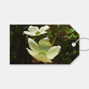 Dogwood och Redwood i Yosemite National Park Presentetikett