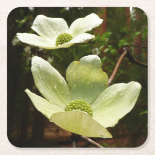 Dogwood och Redwood i Yosemite National Park Underlägg Papper Kvadrat