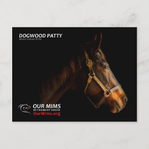 Dogwood Patty vycard Vykort