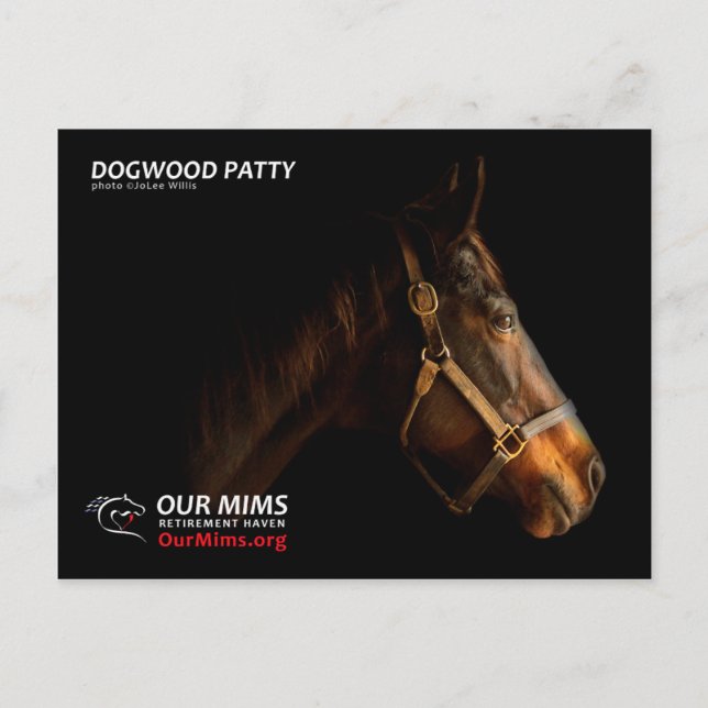 Dogwood Patty vycard Vykort (Framsida)