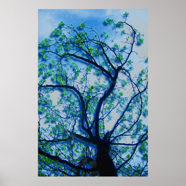 Dogwood Rendition III Poster (Framsidan)