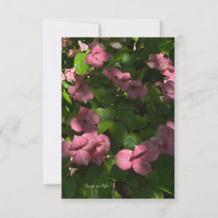 Dogwood Rosa Anteckningskort