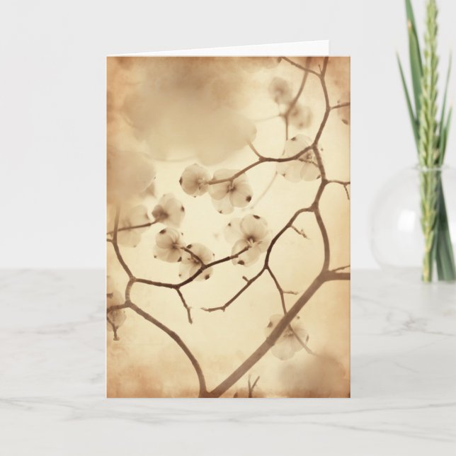 Dogwood samla i en klunga kort (Framsida)