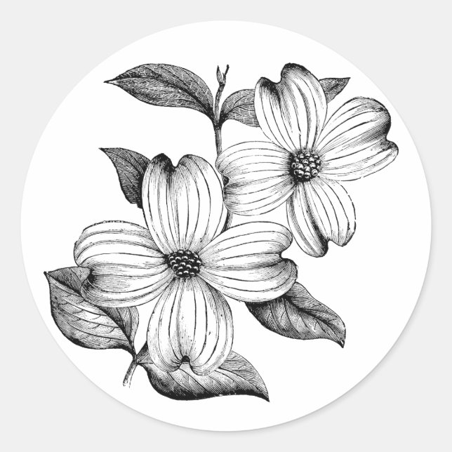 Dogwood Sticker Runt Klistermärke (Framsida)
