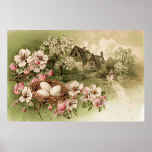 Dogwood Träd Bird Nest Egg Cottage Poster