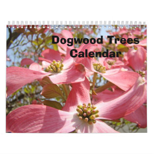 Dogwood Träd Calendar Rosa Dogwood Flowers art Kalender