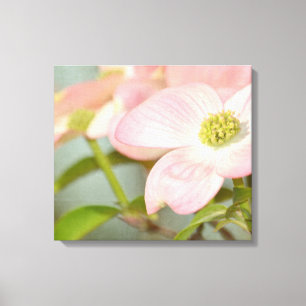 Dogwood Träd Canvastryck