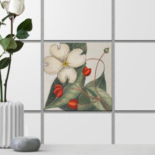 Dogwood Träd Flower Illustration 🌼 Vintage Kakelplatta