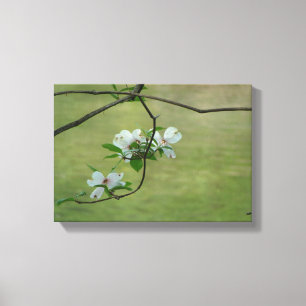 Dogwood träd wall art canvastryck
