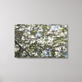 Dogwood Träd White Flower Blommars Canvastryck