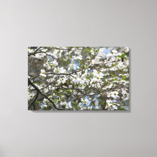 Dogwood Träd White Flower Blommars Canvastryck