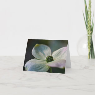 Dogwoodblomma Anteckningskort