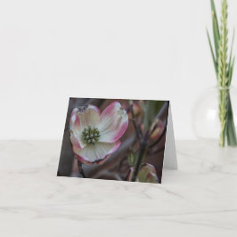 Dogwoodblommar Notecard Kort