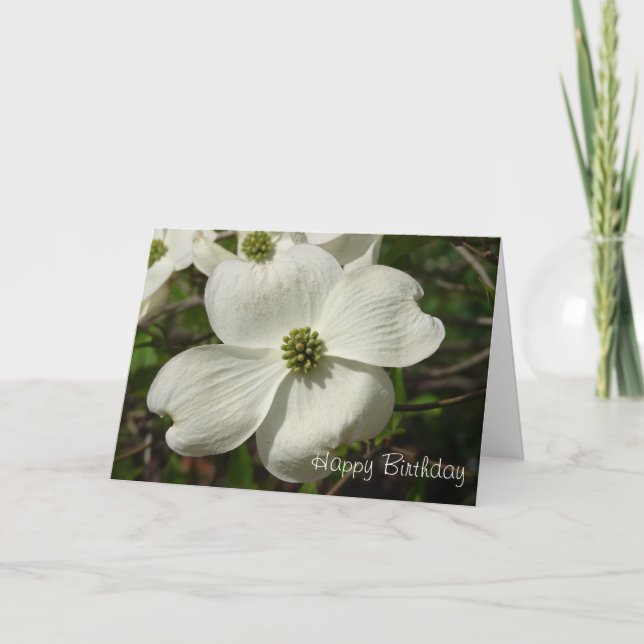 Dogwoodfödelsedag Kort (Framsida)