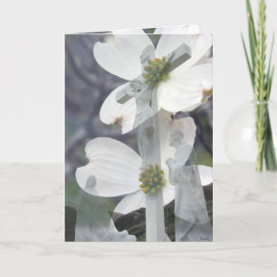 Dogwoodhälsningar Kort
