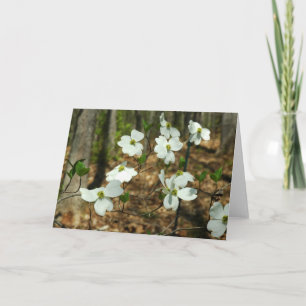 Dogwoodhälsningkort Kort