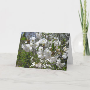 Dogwoodtackkort Tack Kort
