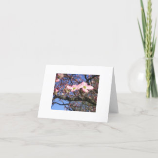 Dogwoodträd Notecard Kort