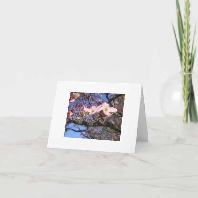 Dogwoodträd Notecard Kort (Framsida)