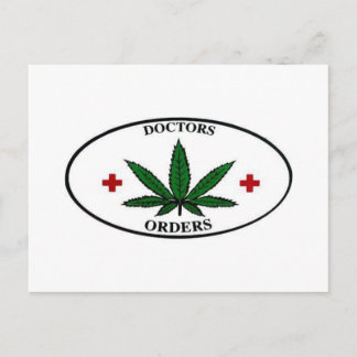 DOKTOR ORDERS VYKORT