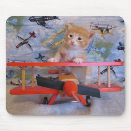 Dolce Airplan Pilot - Kitten/Kattmusslan Musmatta