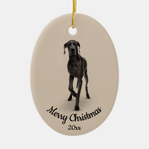 Dold Anpassningsbar Foto-julet Great dane Hund Pet Julgransprydnad Keramik
