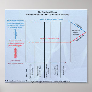 Dold Dynamics i referensdiagrammet för blodsbestån Poster