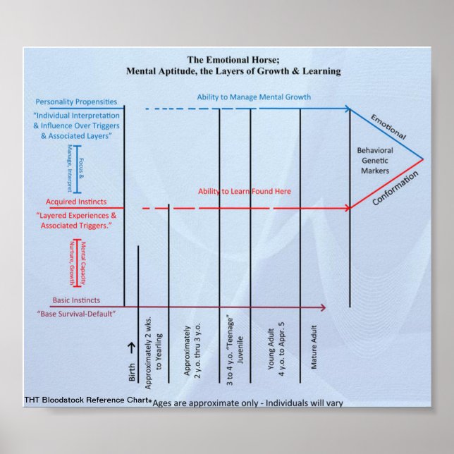 Dold Dynamics i referensdiagrammet för blodsbestån Poster (Framsidan)
