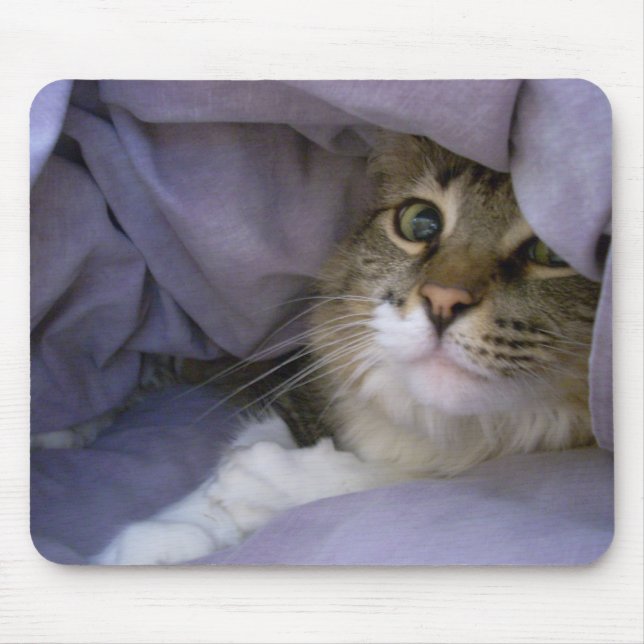 Dold kattunge Mousepad Musmatta (Framsidan)