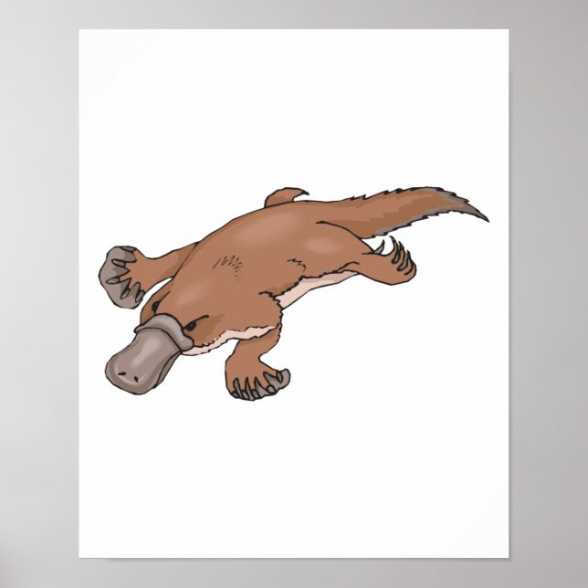 dold platypus poster (Framsidan)