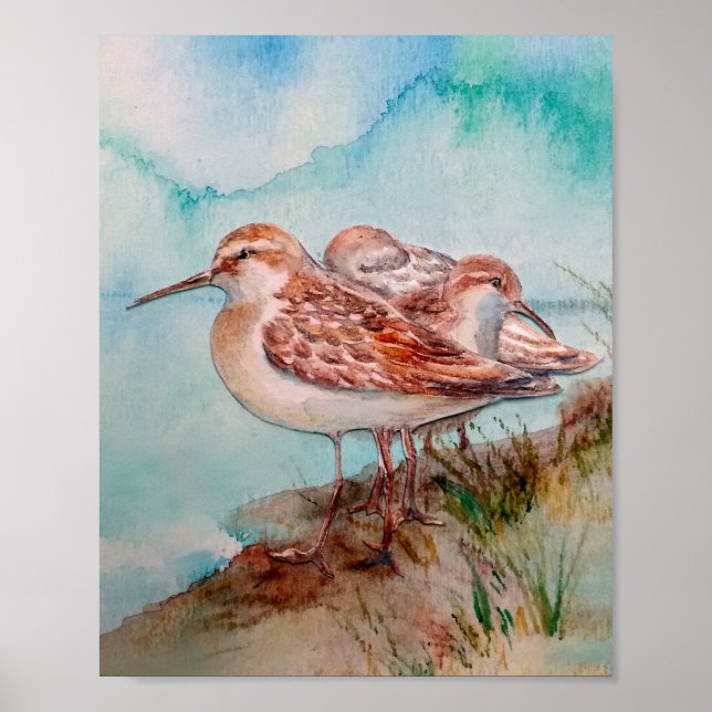 Dold, Sandpiper Shore Beach Bird Art Poster (Framsidan)